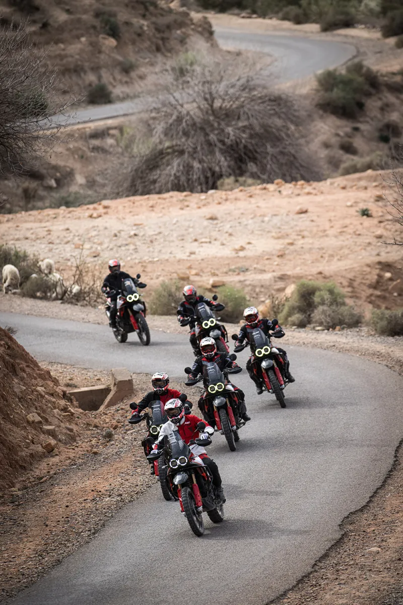 Ducati DesertX Rally in Action