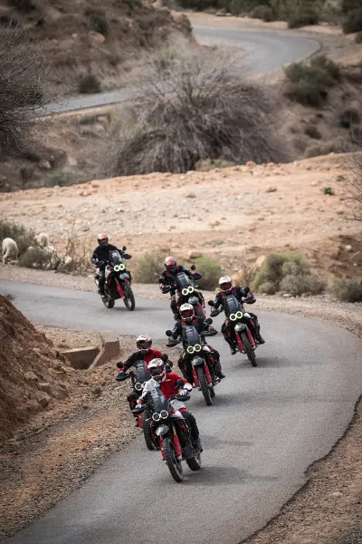 Ducati DesertX Rally