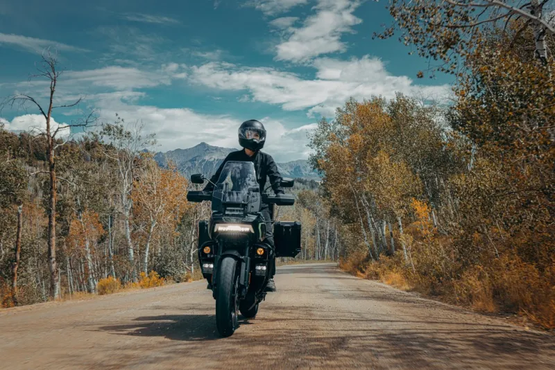 Harley-Davidson Sportster S in Action